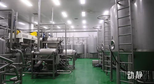 全省唯一！麻江縣獲批全國農產品骨干冷鏈物流重點縣，為農產品進出口注入強勁動力