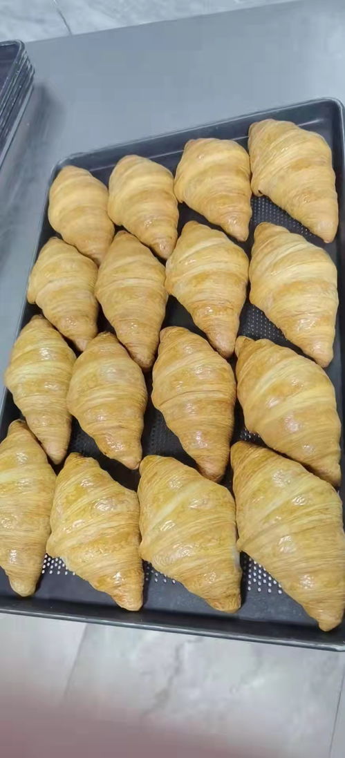 人間丨疫情沖擊下,廣東一家連鎖餐飲企業再生記 中央廚房變身食品加工廠,憑預制菜化危為機